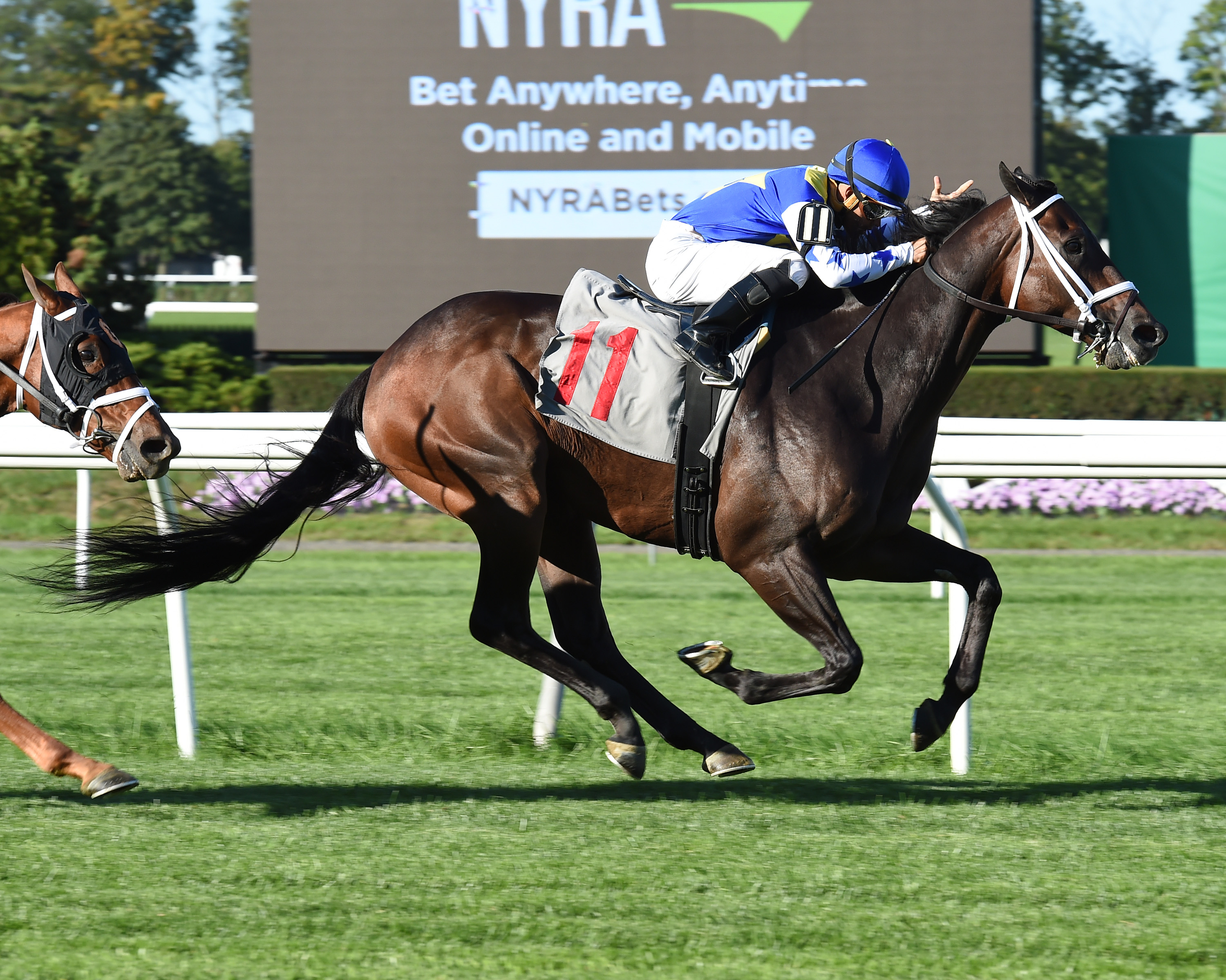 Special Ops wins an Oct. 5 claiming race