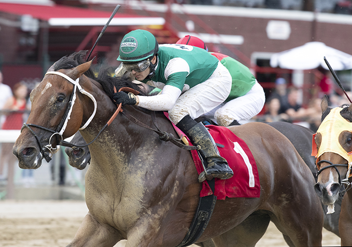 Special Relativity wins a July 17 allowance race at Saratoga Race Course