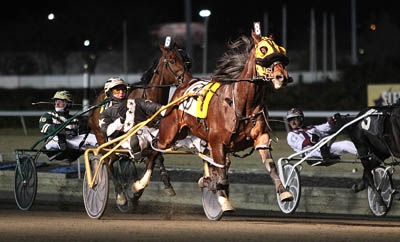 Special T Rocks wins Clyde Hirt