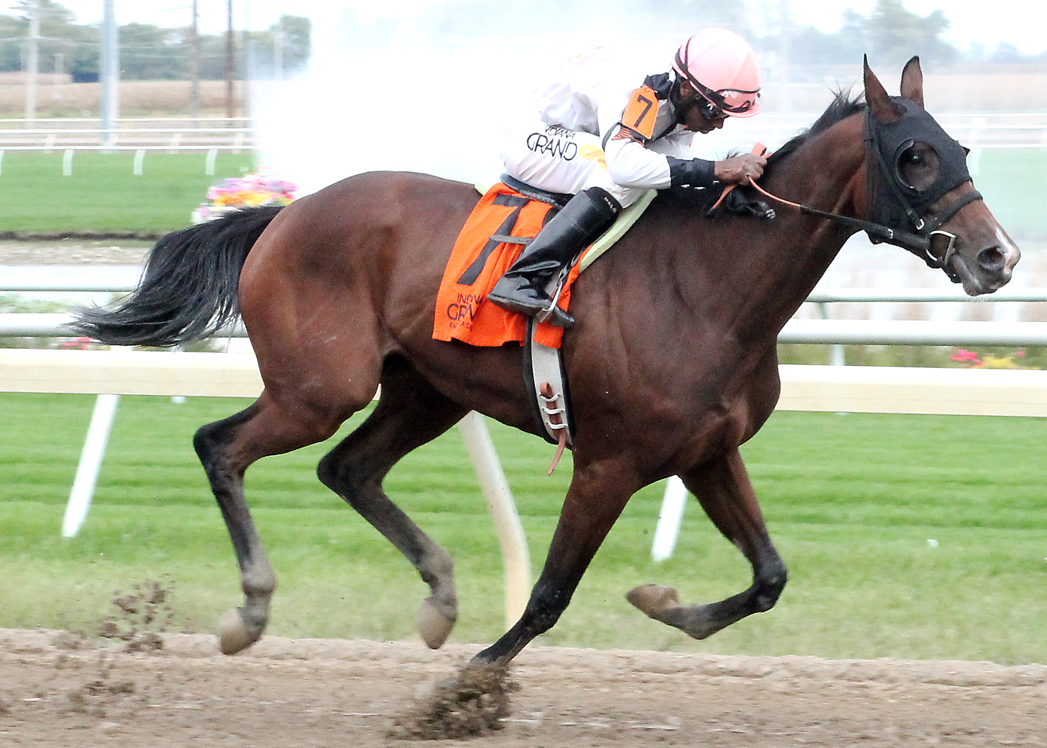 Special Talent wins the City of Anderson Stakes