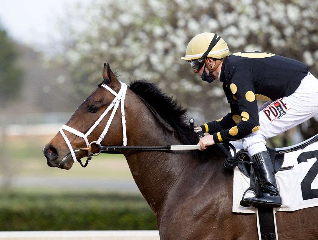 Special Reserve wins a March 13 optional claiming race at Oaklawn