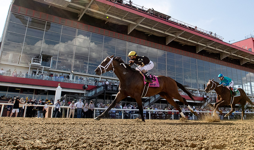 Special Reserve wins the 2021 Maryland Sprint Stakes at Pimlico Race Course