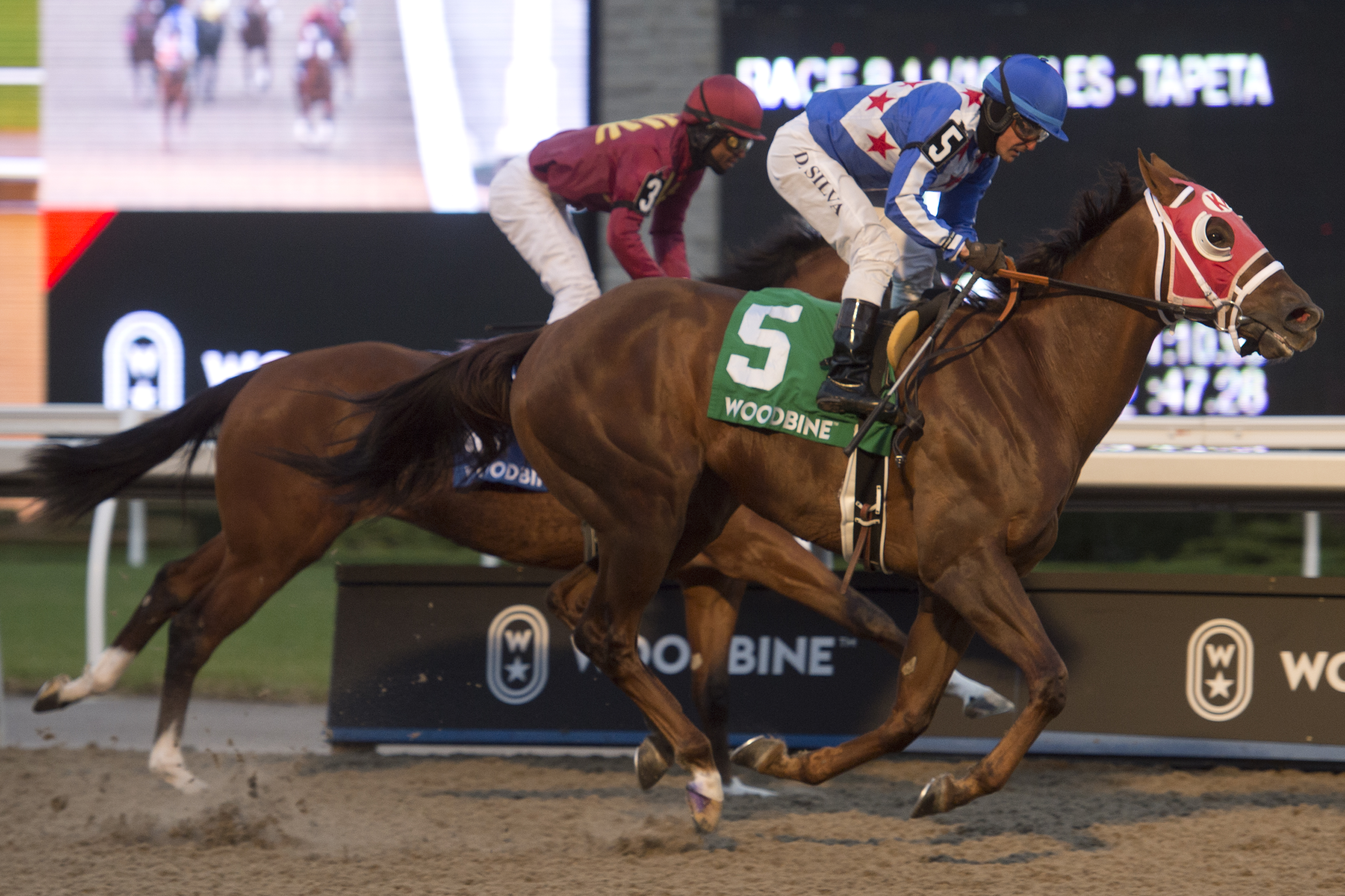Special Forces wins the 2019 Autumn Stakes