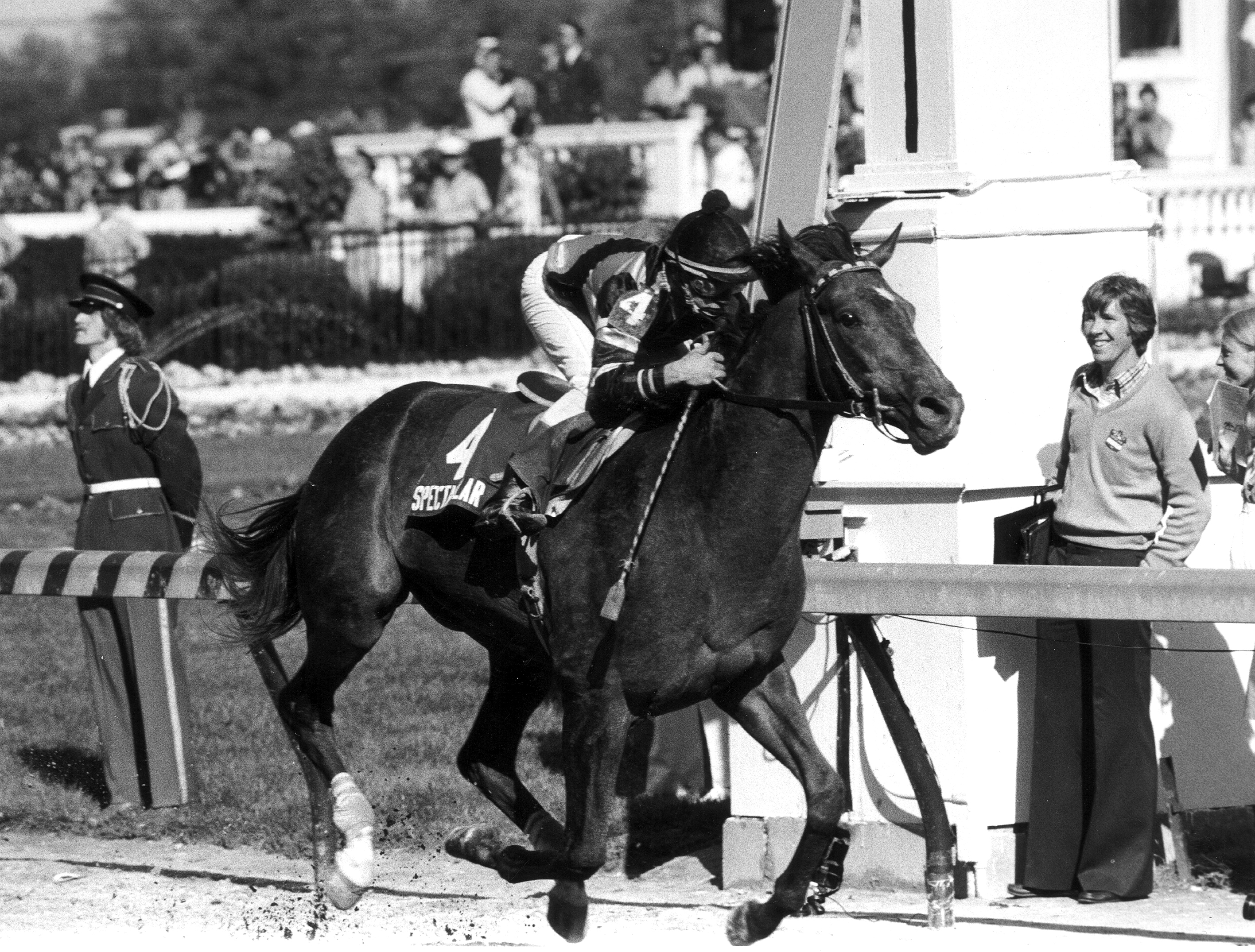 Spectacular Bid