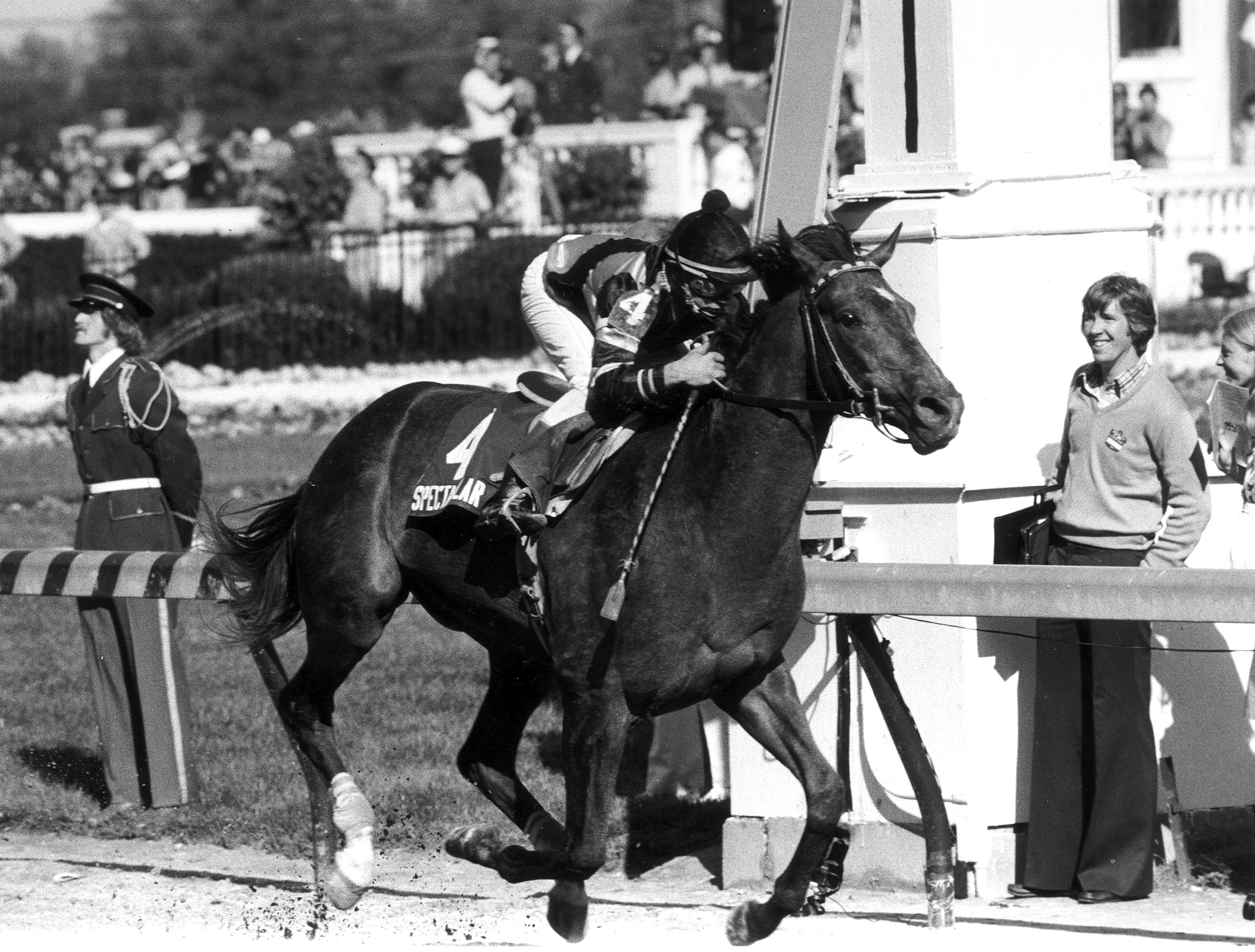 Spectacular Bid wins the 1979 Kentucky Derby