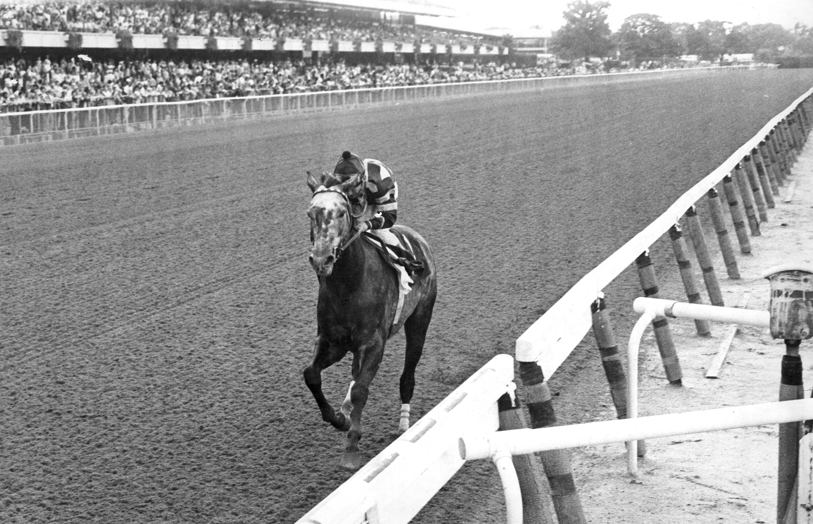 Spectacular bid walkover