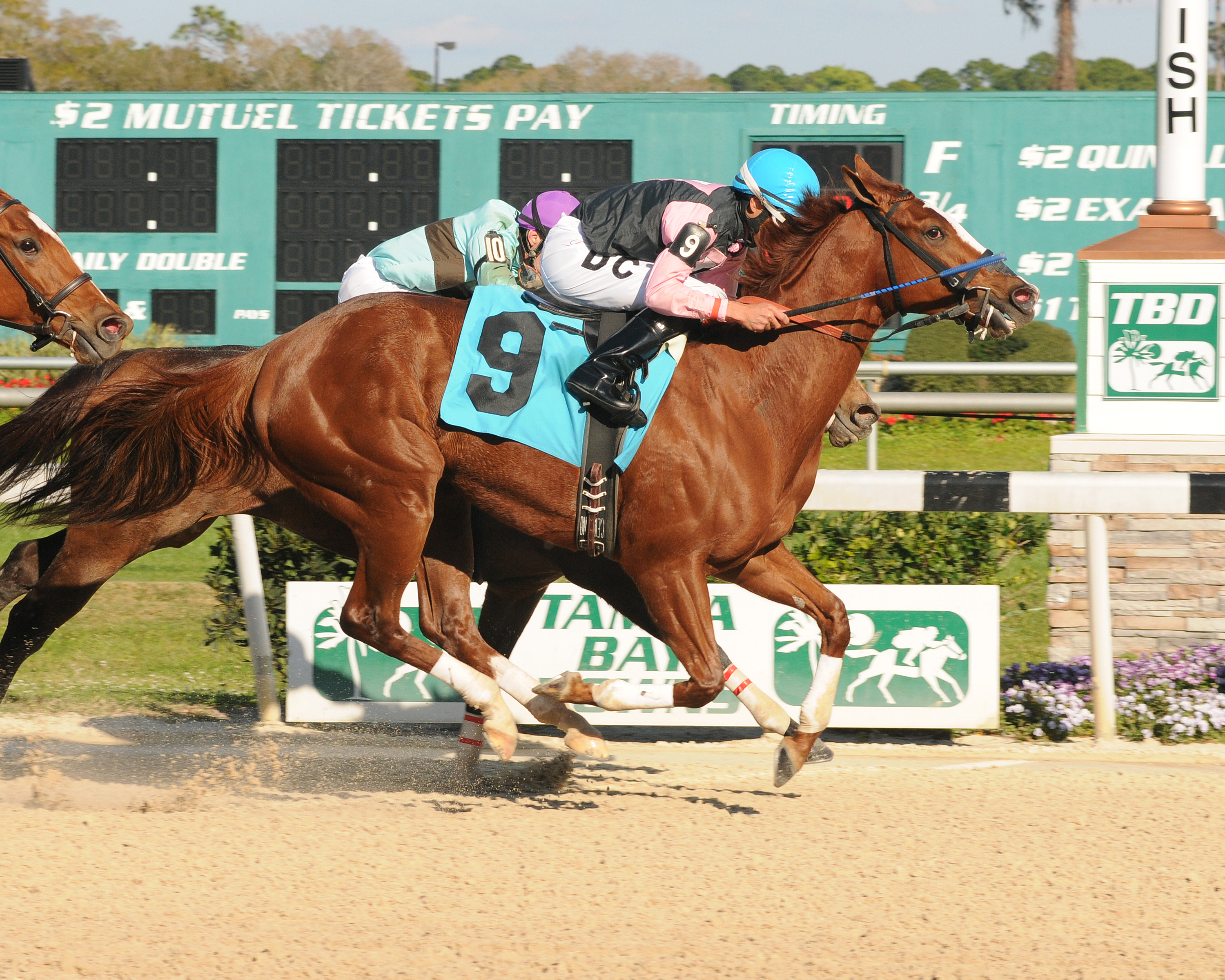 Spectacular Sky, Manatee Stakes