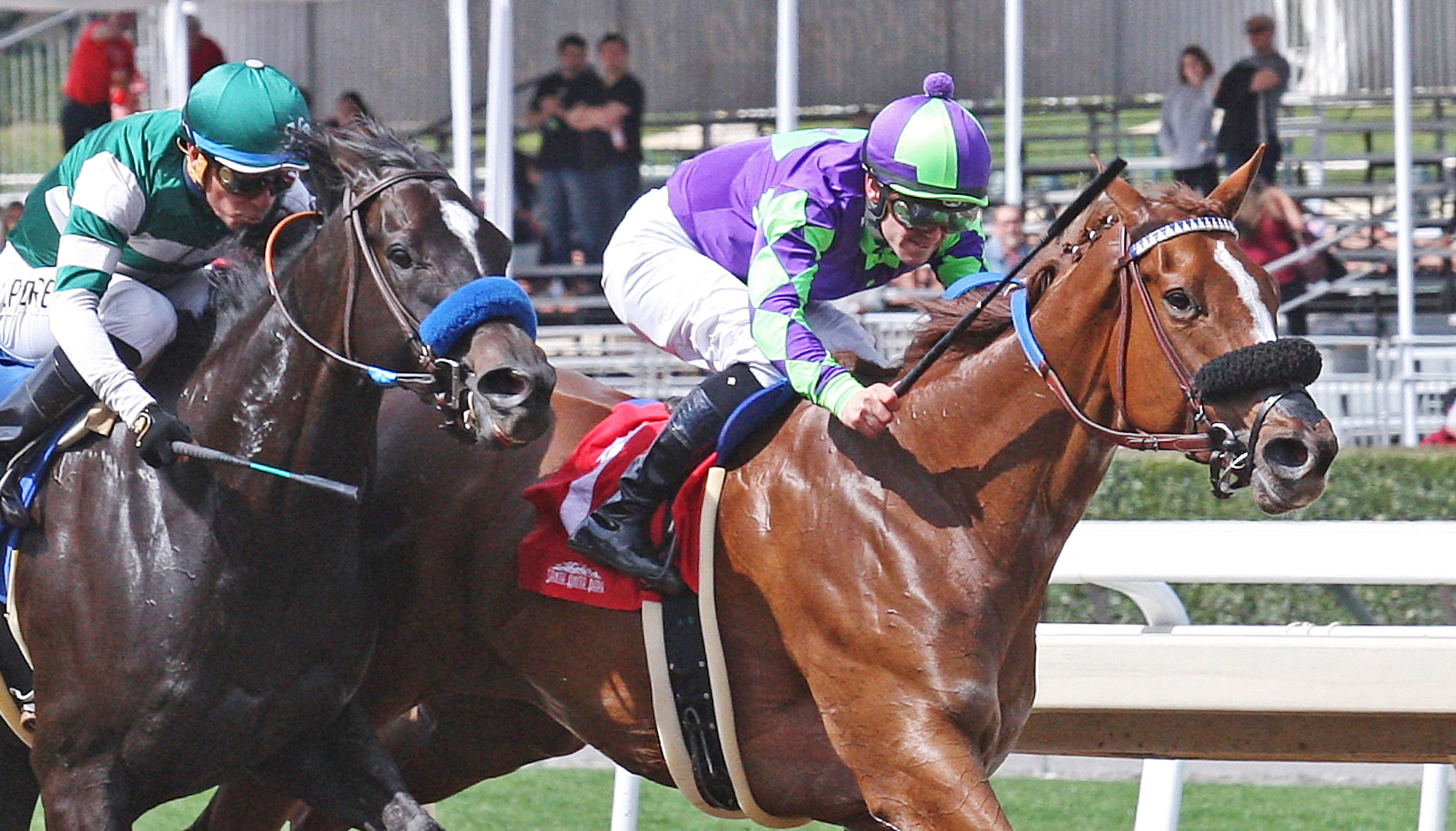 Spectator wins a March 18 allowance at Santa Anita