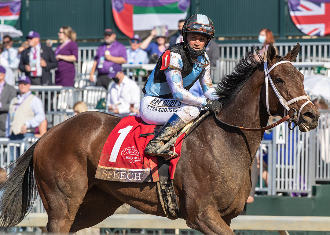 Speech finishes sixth in the Breeders' Cup Filly and Mare Sprint at Keeneland