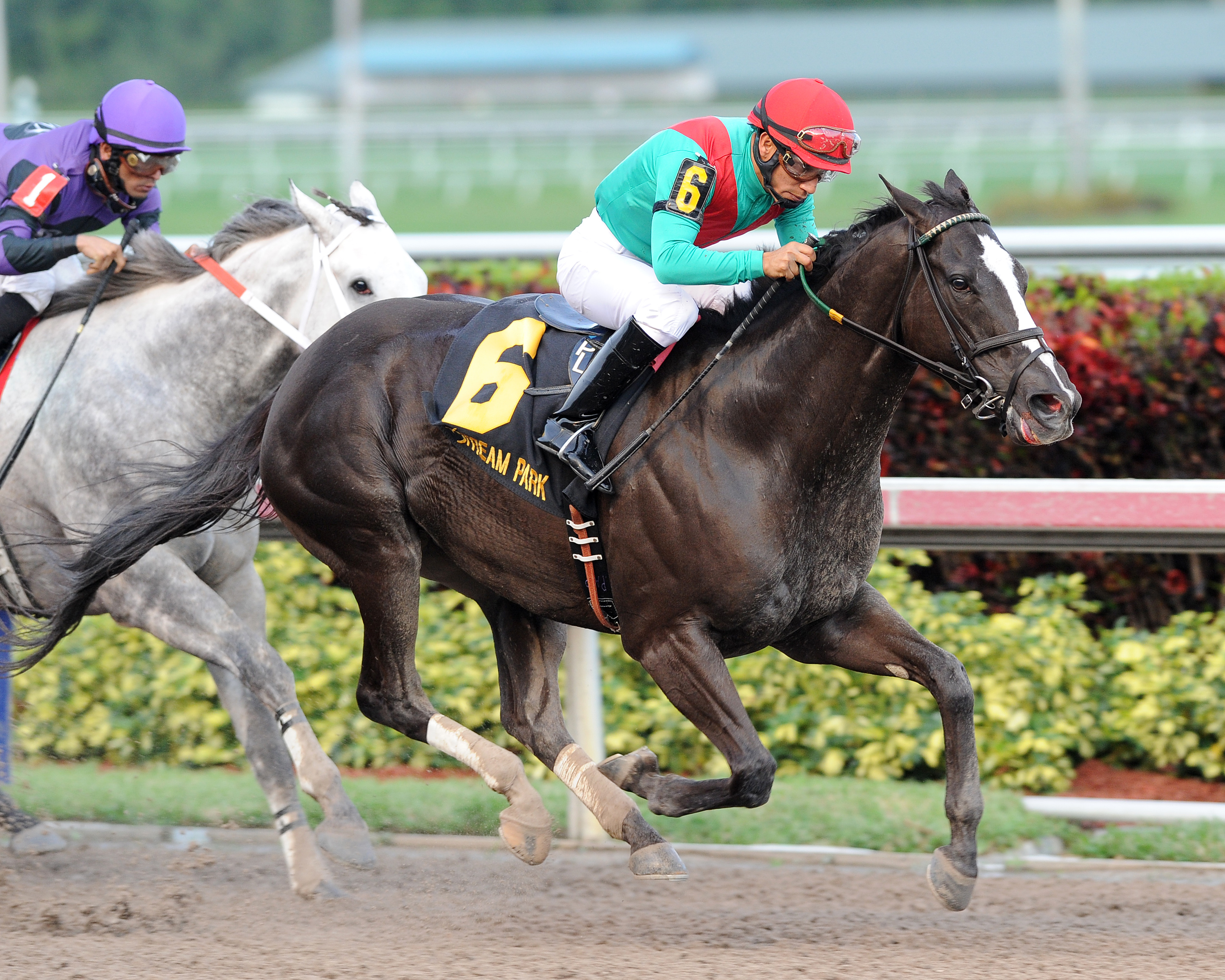 Speechify wins 2014 Mr. Prospector