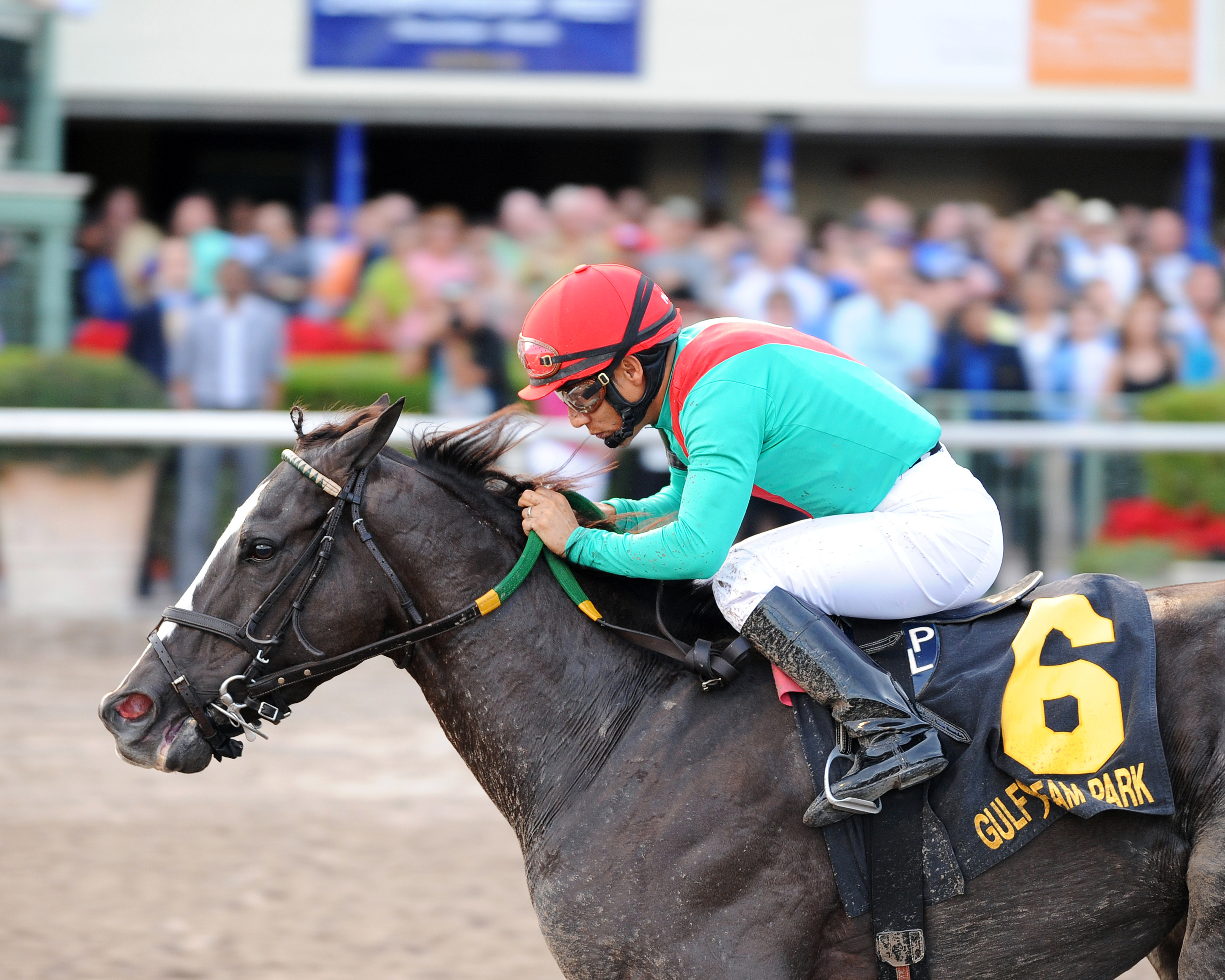 Speechify wins the Mr. Prospector
