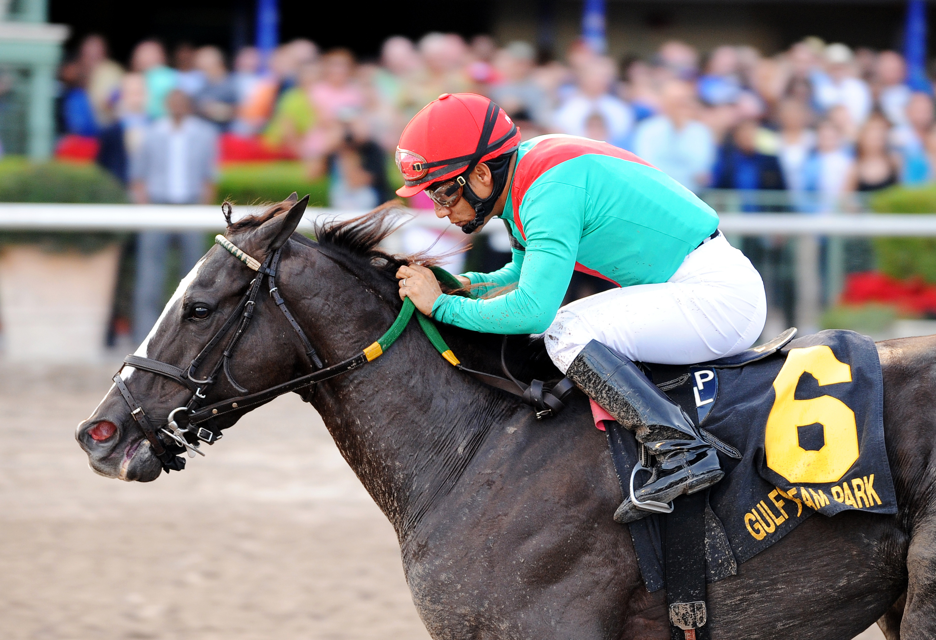 Speechify wins the Mr. Prospector Stakes