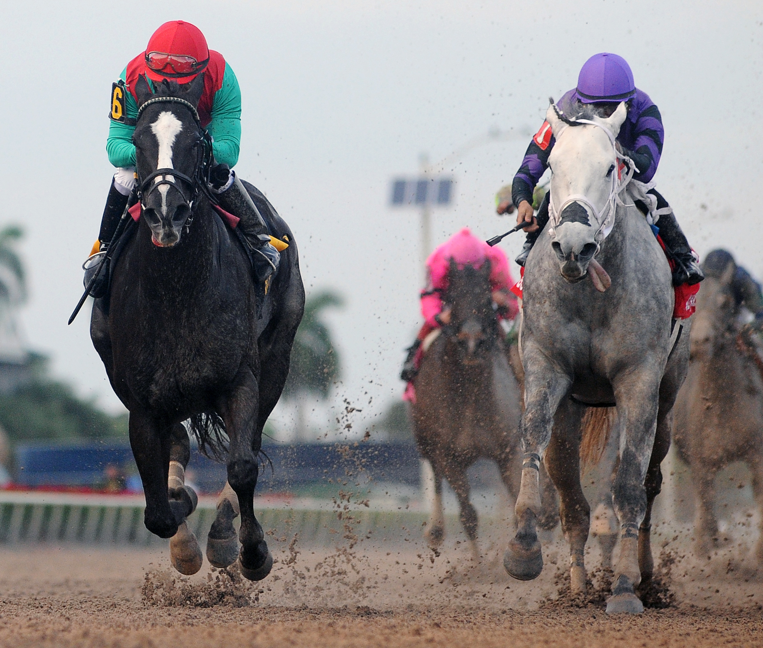 Risk Factor finishes second in the Mr. Prospector