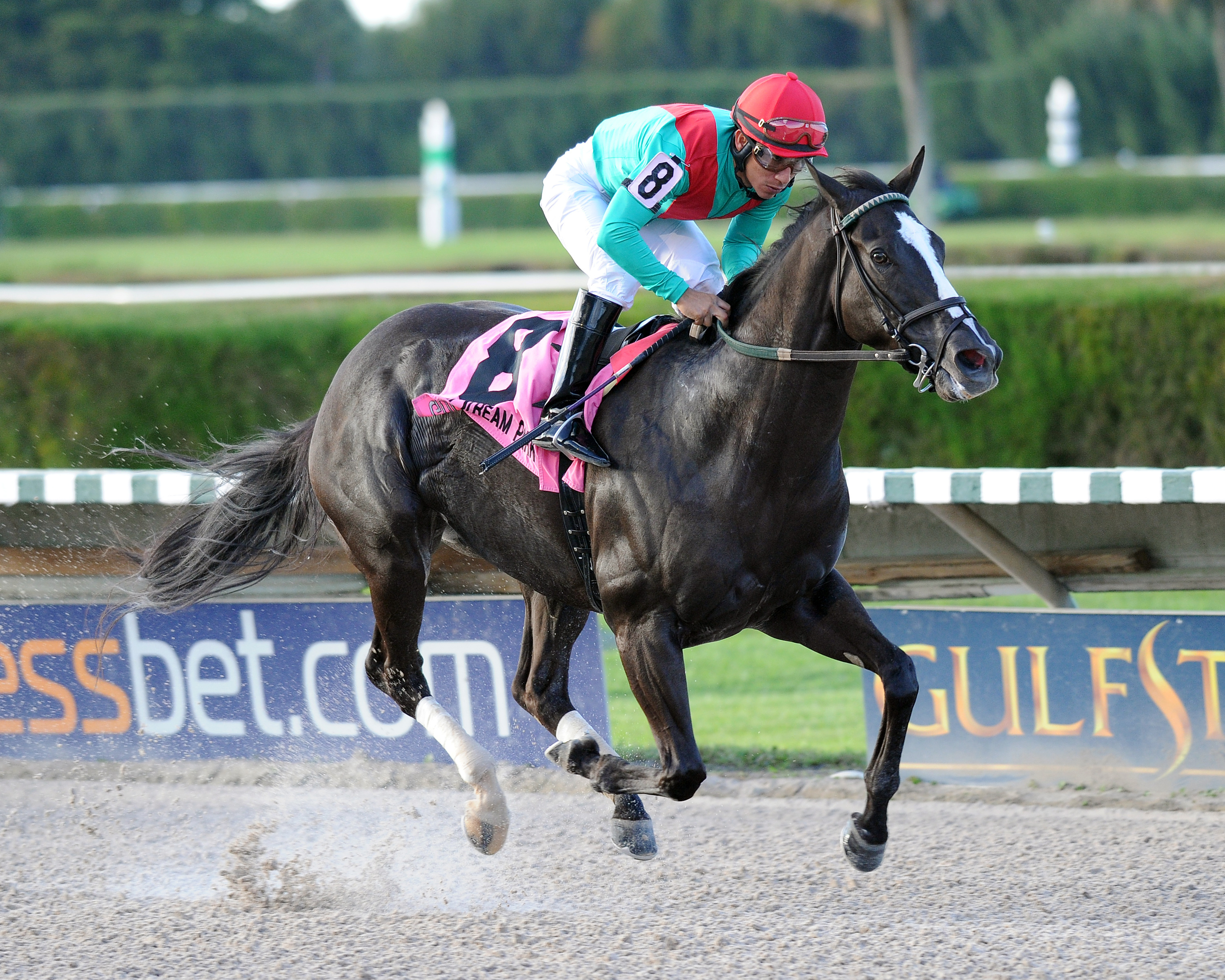 Speechify wins the Kenny Noe Jr.