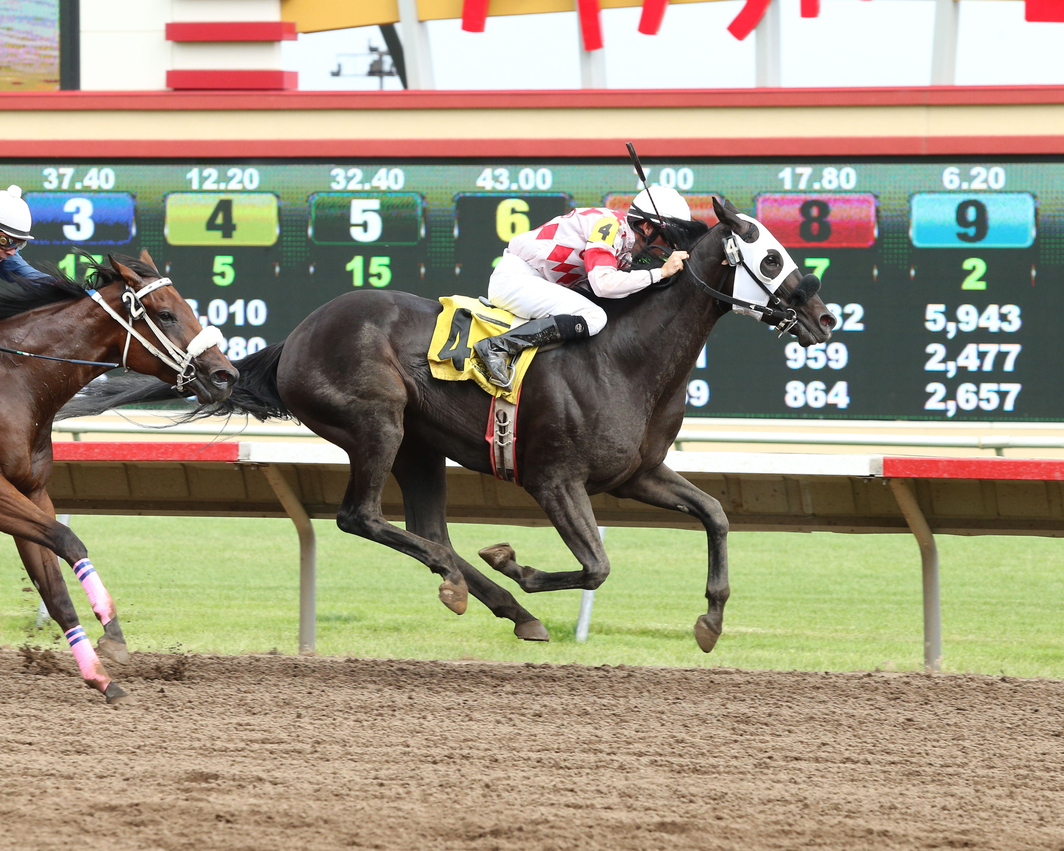 Speed Is Life 7-4-2014