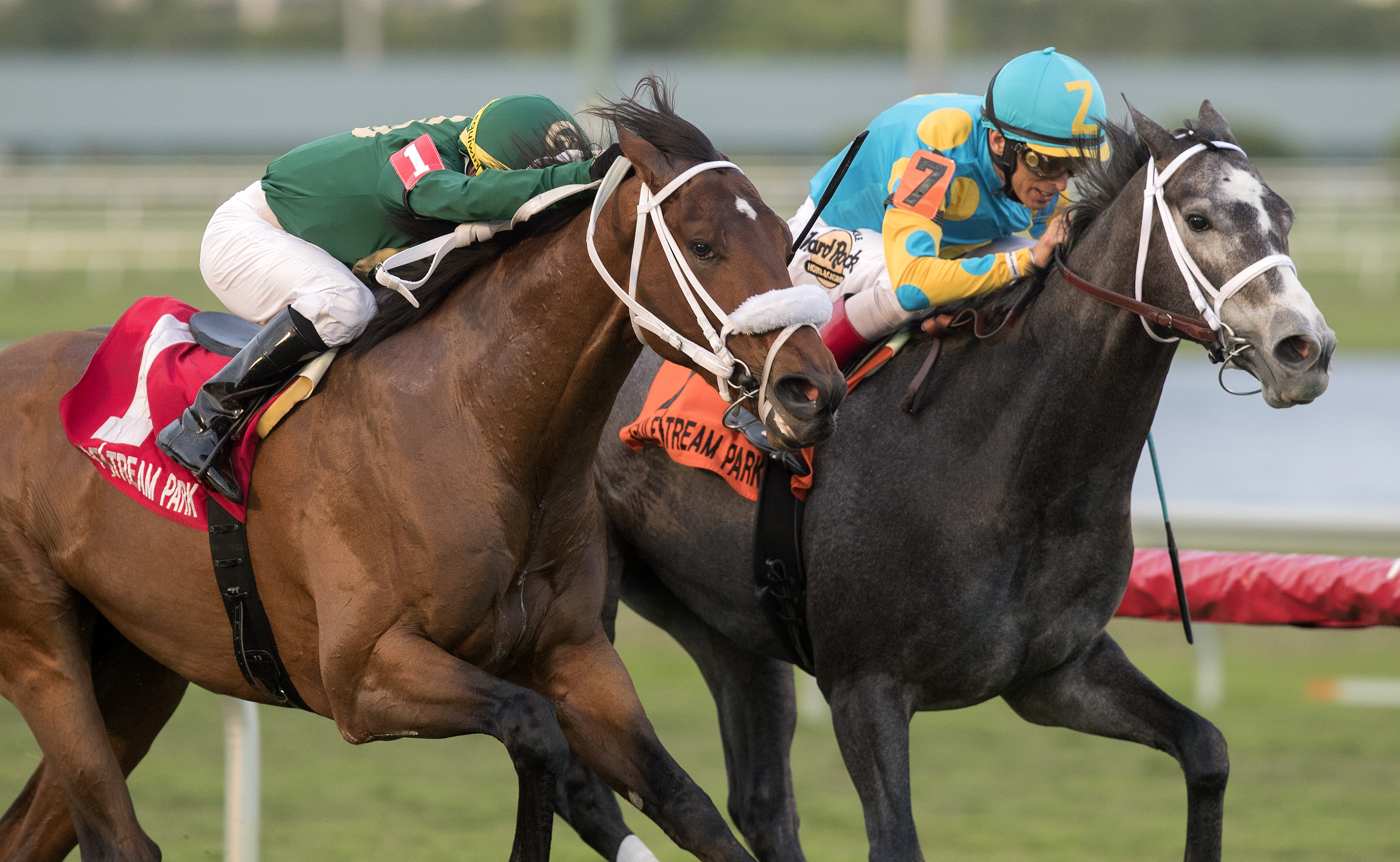 Speed Franco -No.1- wins the 2018 Dania Beach Stakes