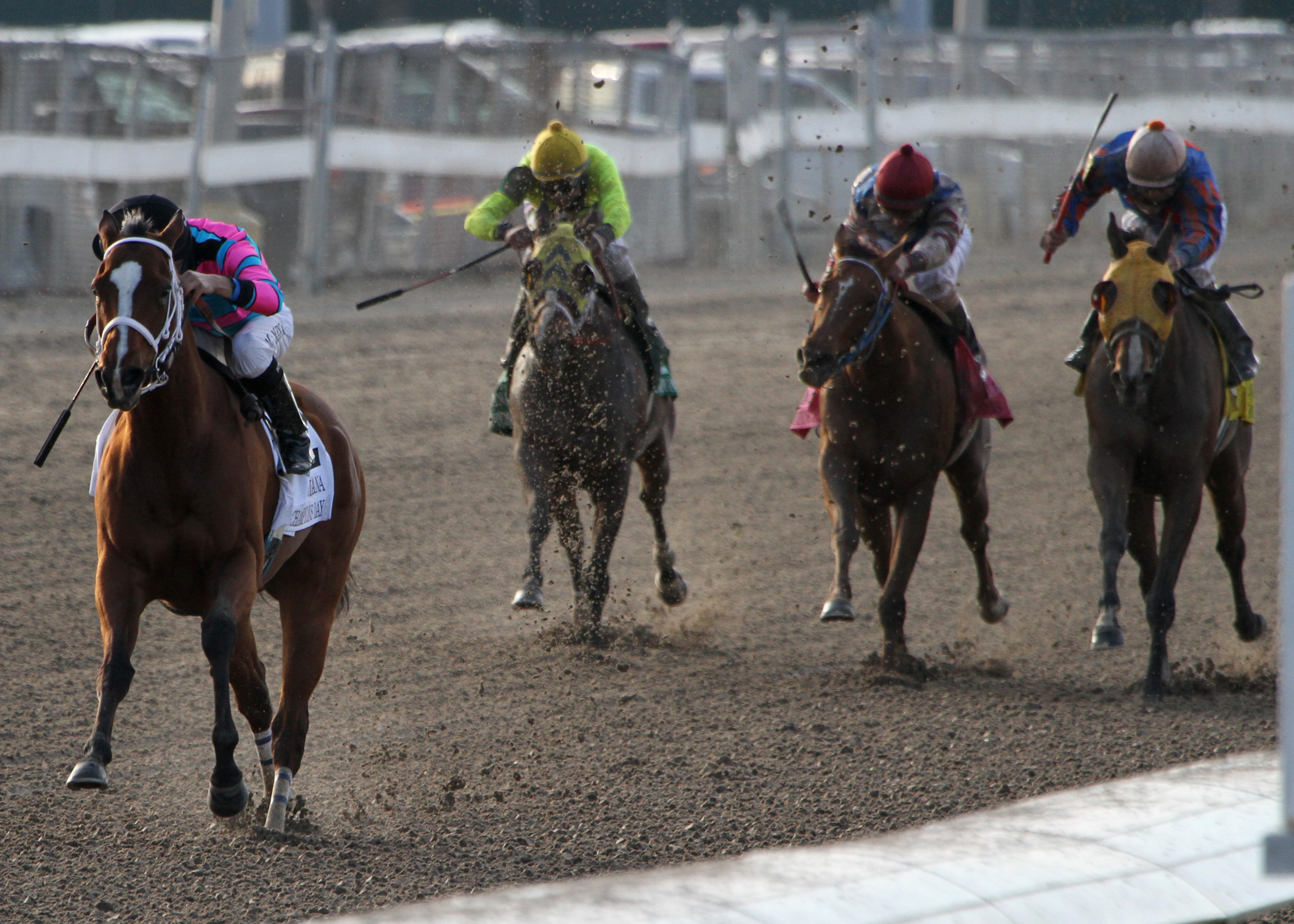 Speedacious/Louisiana Champions Day Ladies Sprint