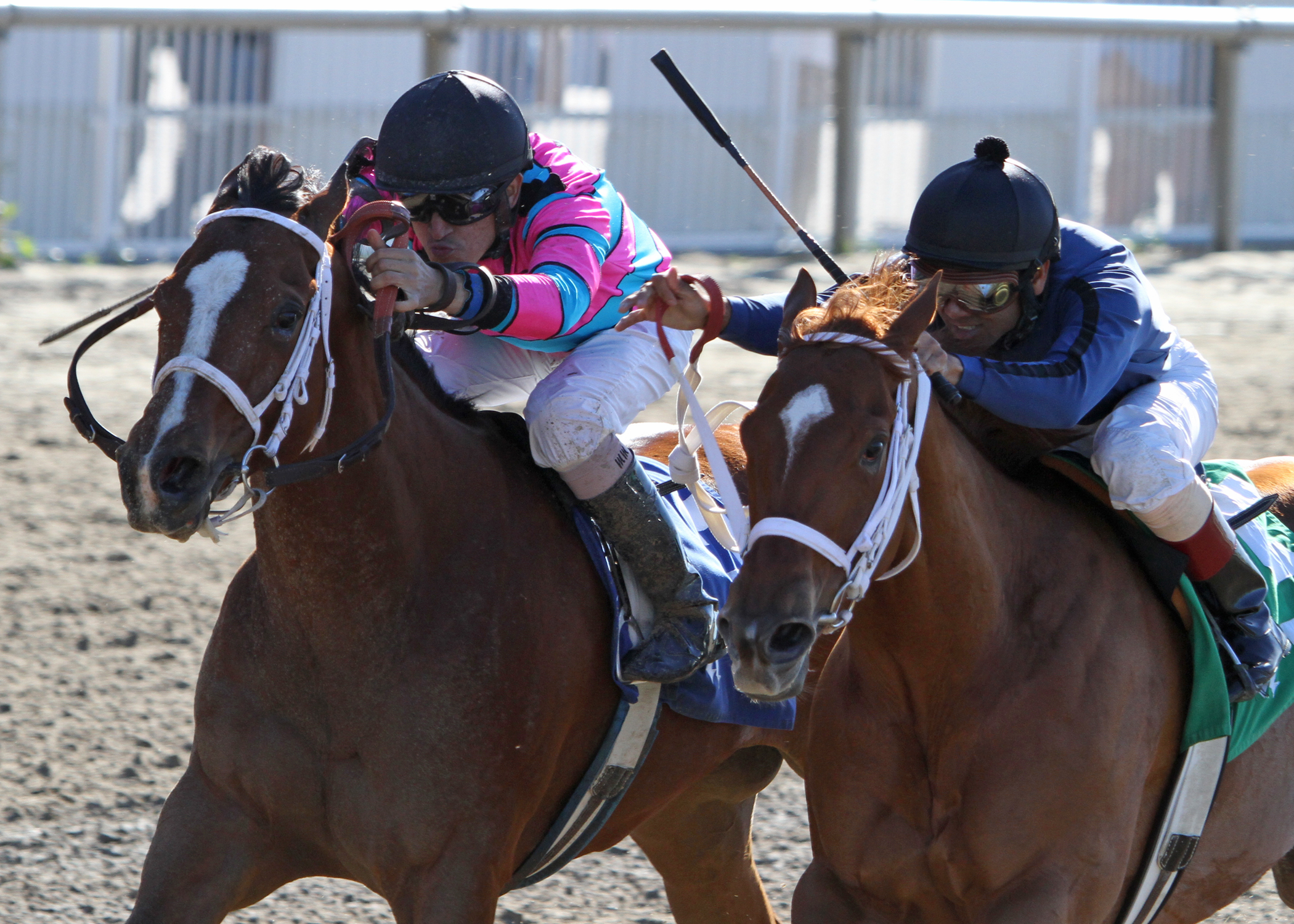 Speedacious, Innspired/Happy Ticket