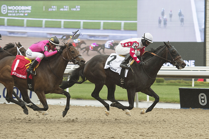 Speedy Soul wins the 2019 Fury Stakes