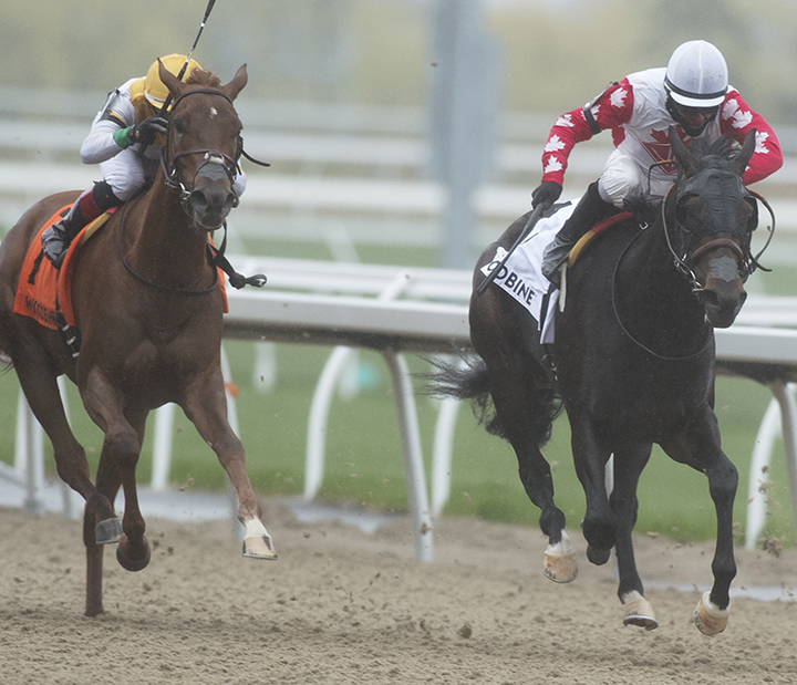 Speedy Soul wins the 2019 Fury Stakes