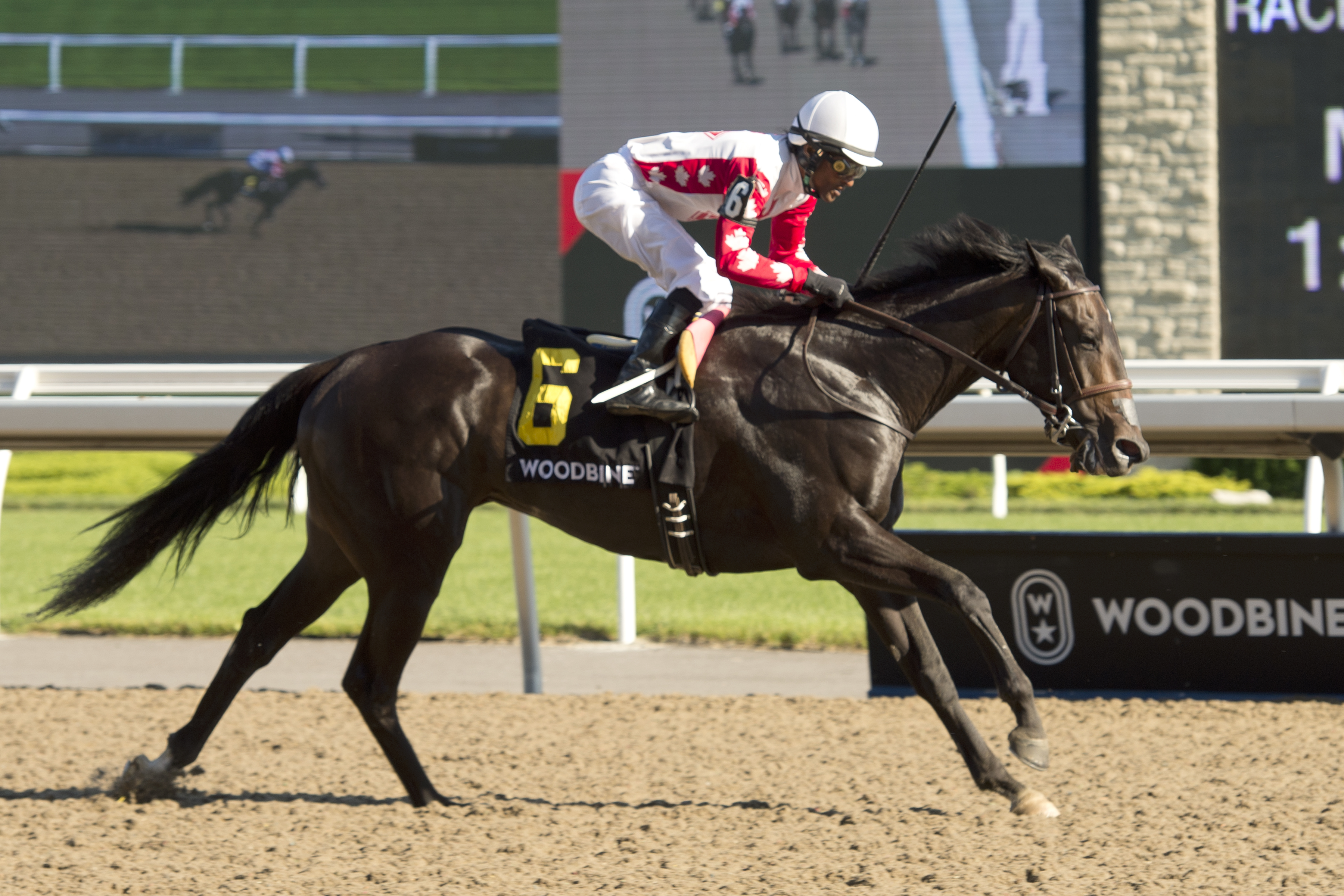 Speedy Soul wins the 2019 Bison City Stakes
