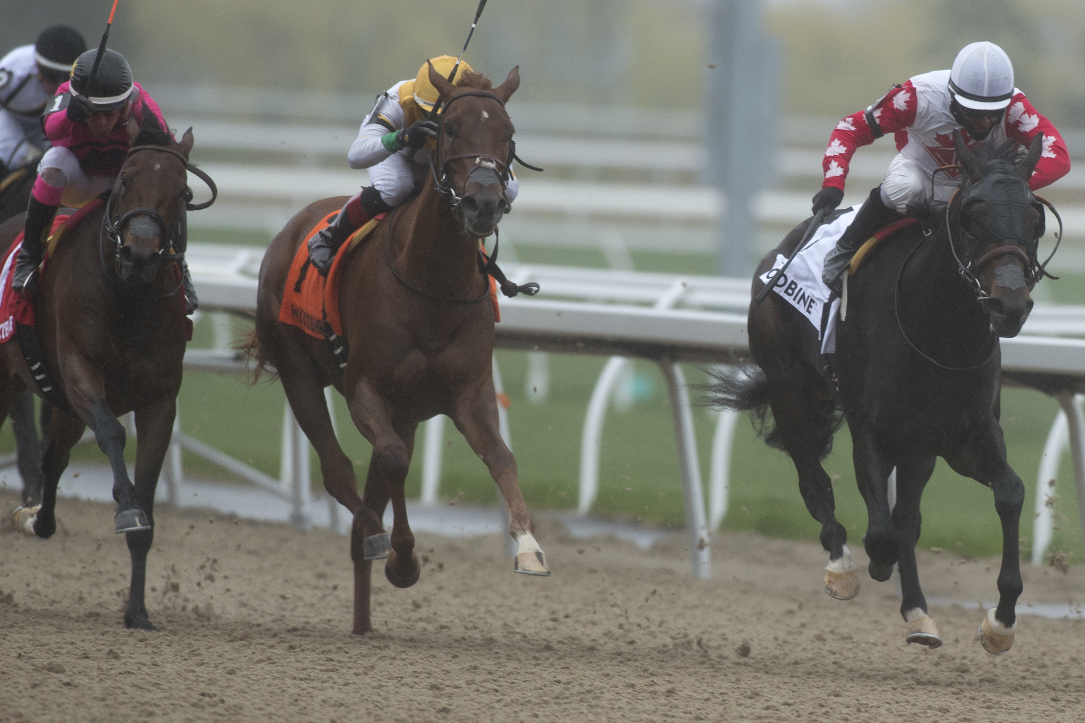 Speedy Soul (right) wins the 2019 Fury Stakes