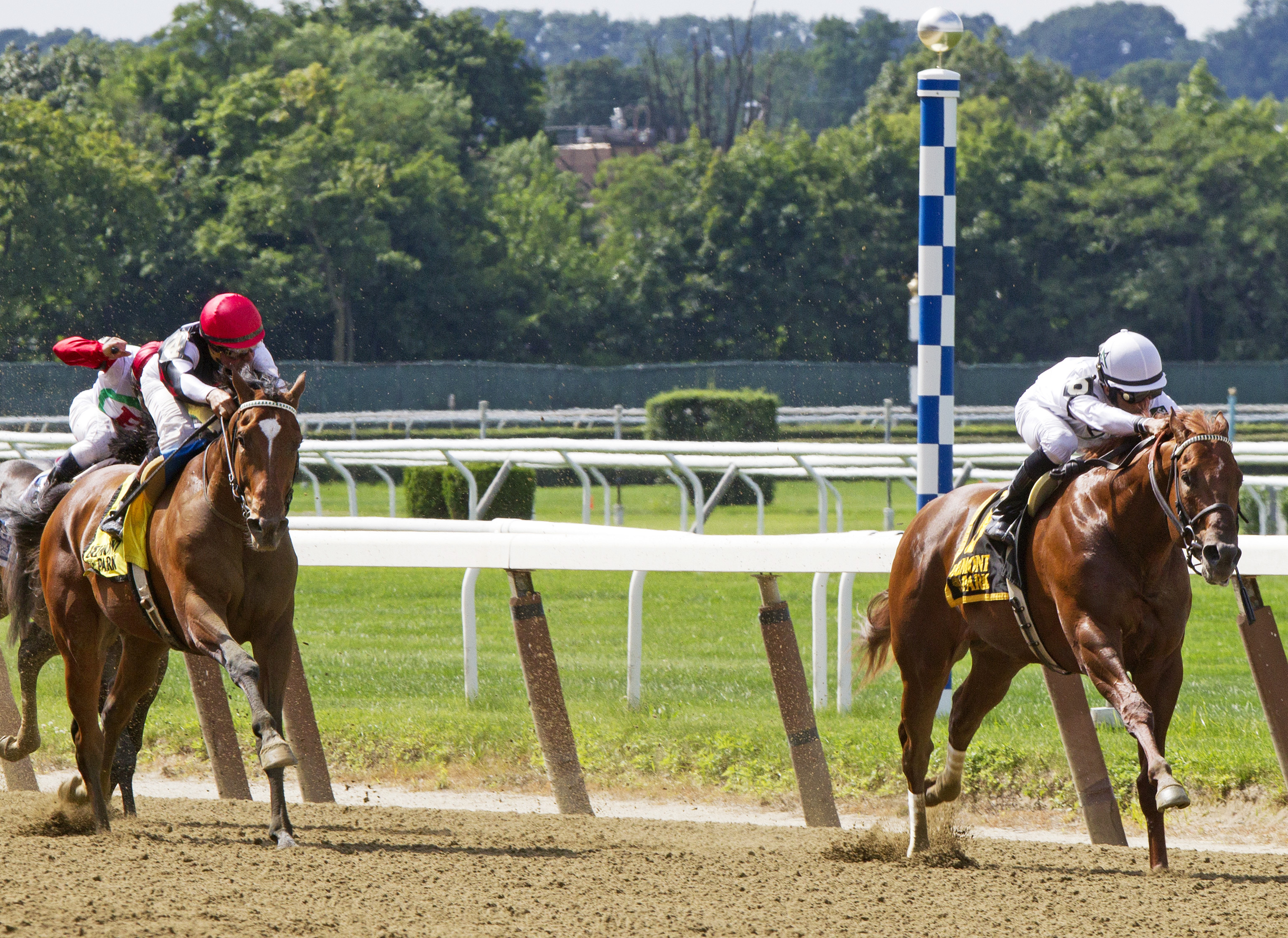 Texas Red finishes second to Speightster in the Dwyer