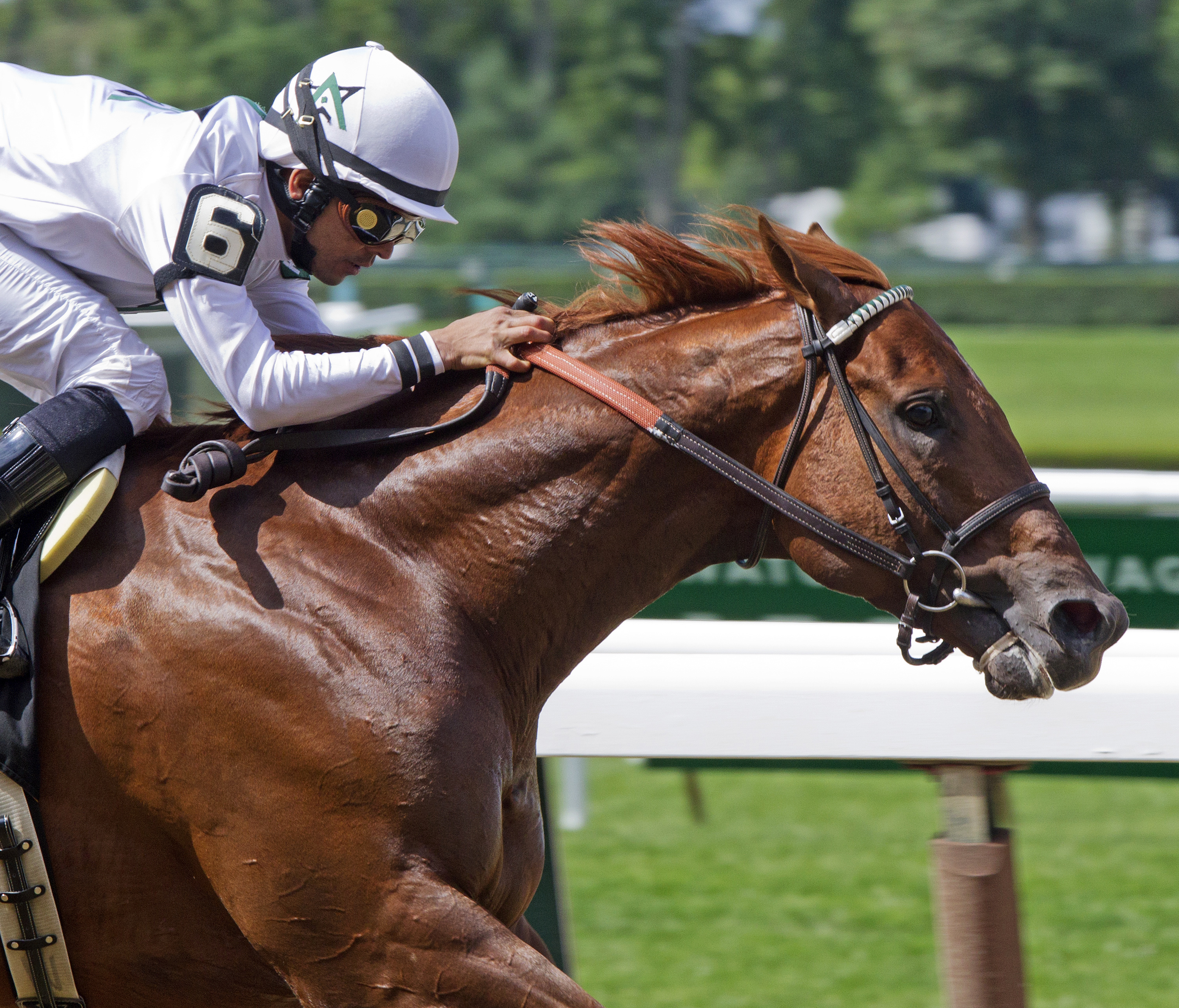 Speightster wins the Dwyer Stakes