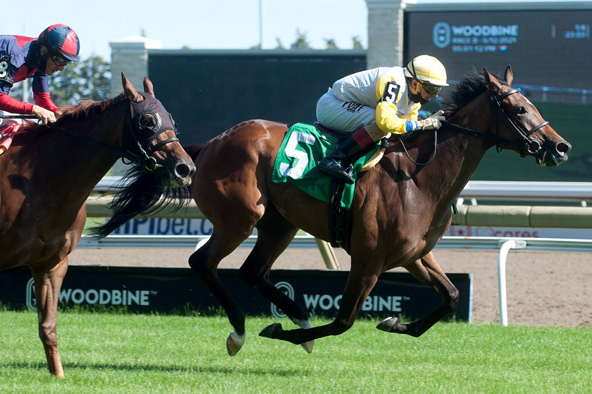 Speightstown Shirl wins a June 12 maiden race at Woodbine