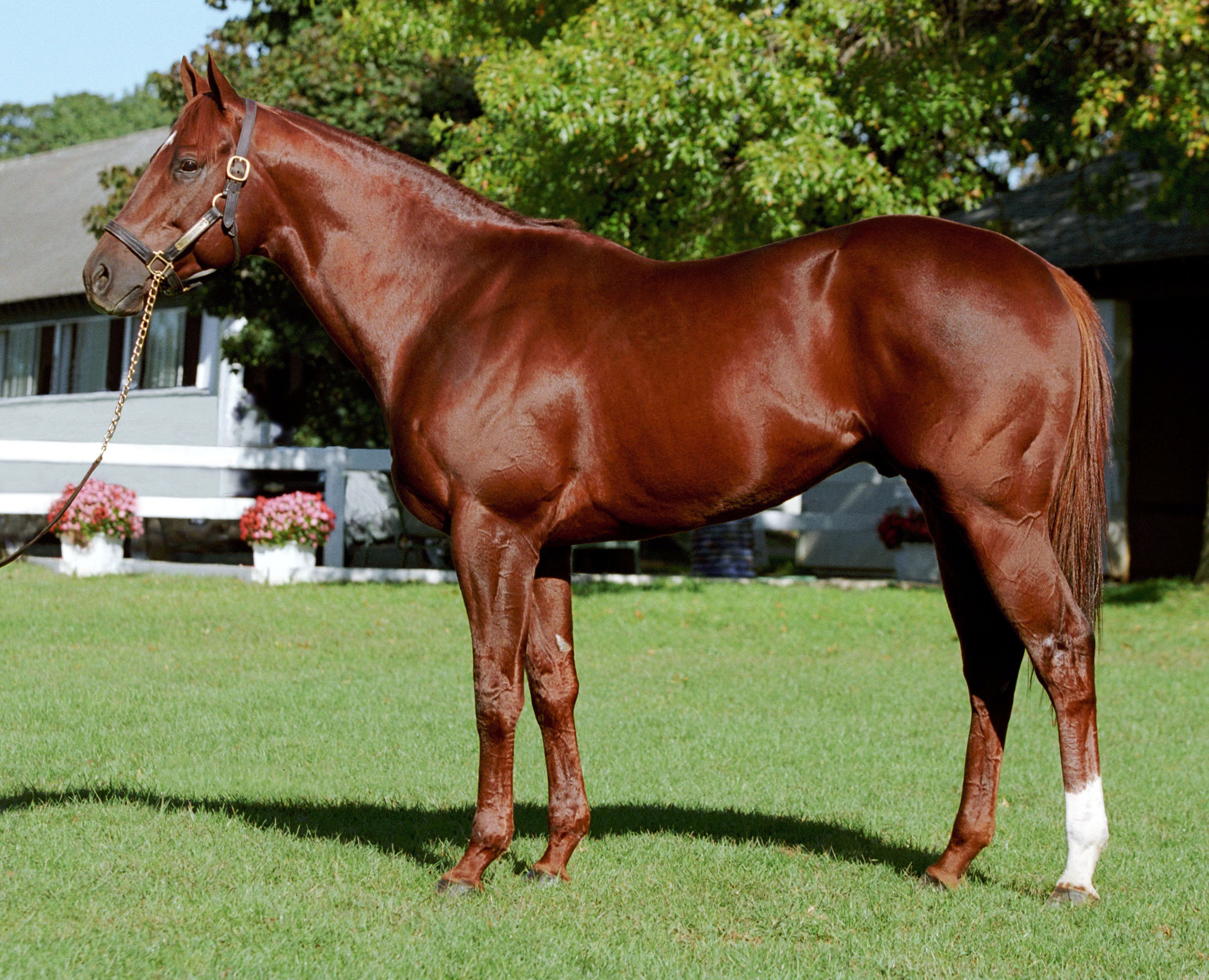 2013MW Speightstown