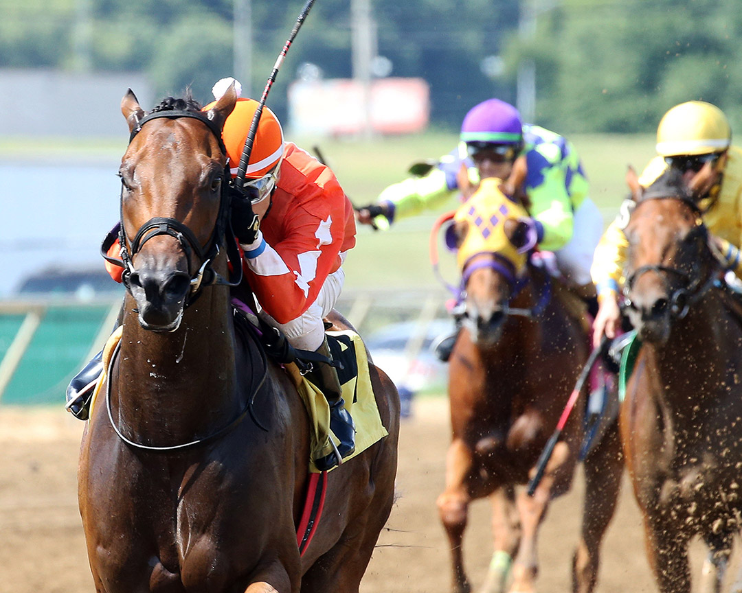 Speitful Sam wins an Aug. 20 maiden race at Ellis Park