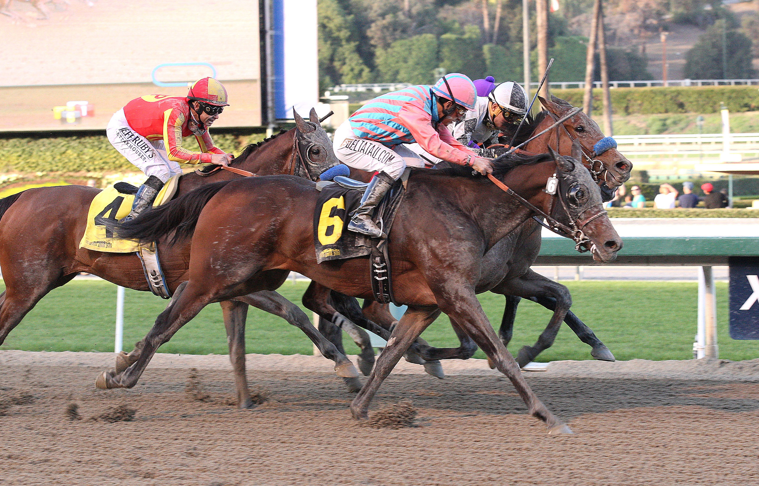 Spellbound wins the La Canada