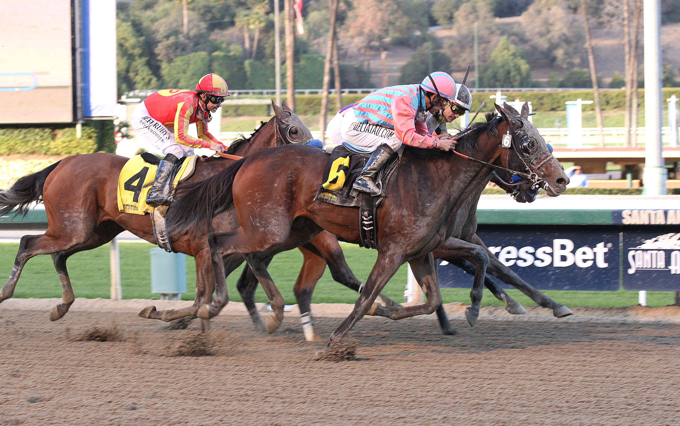 Spellbound wins the La Canada