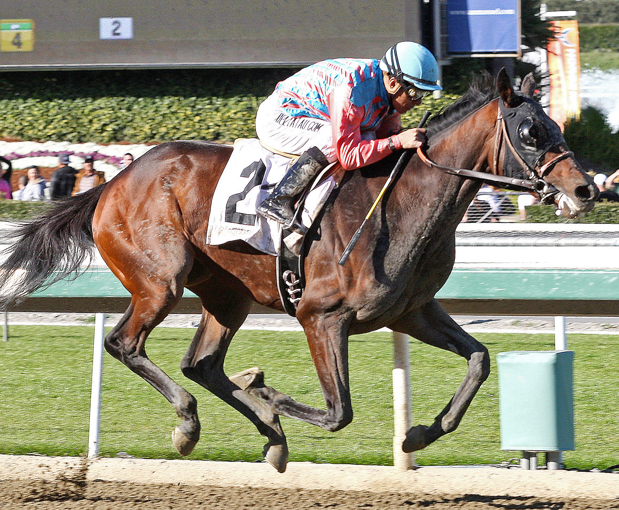 Spellbound wins an allowance race