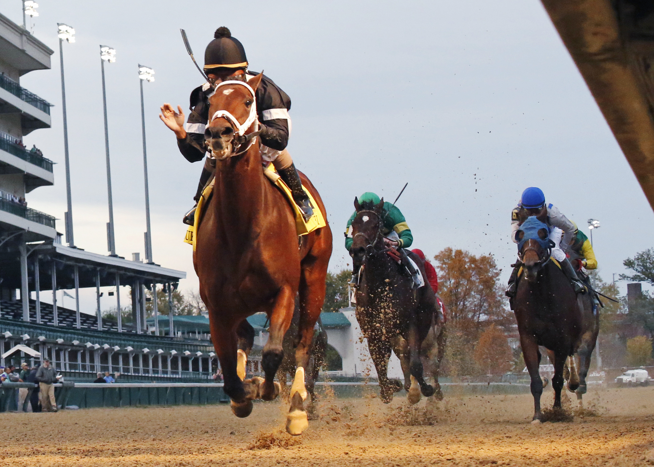 Spelling Again wins the 2015 Chilukki Stakes