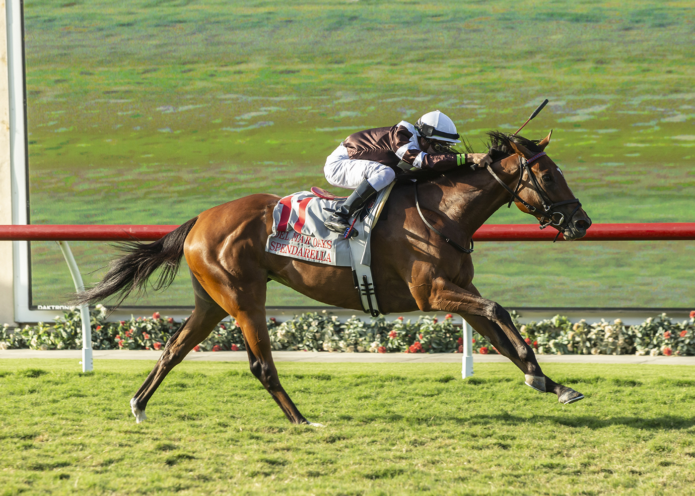 Spendarella - Del Mar Oaks 2022