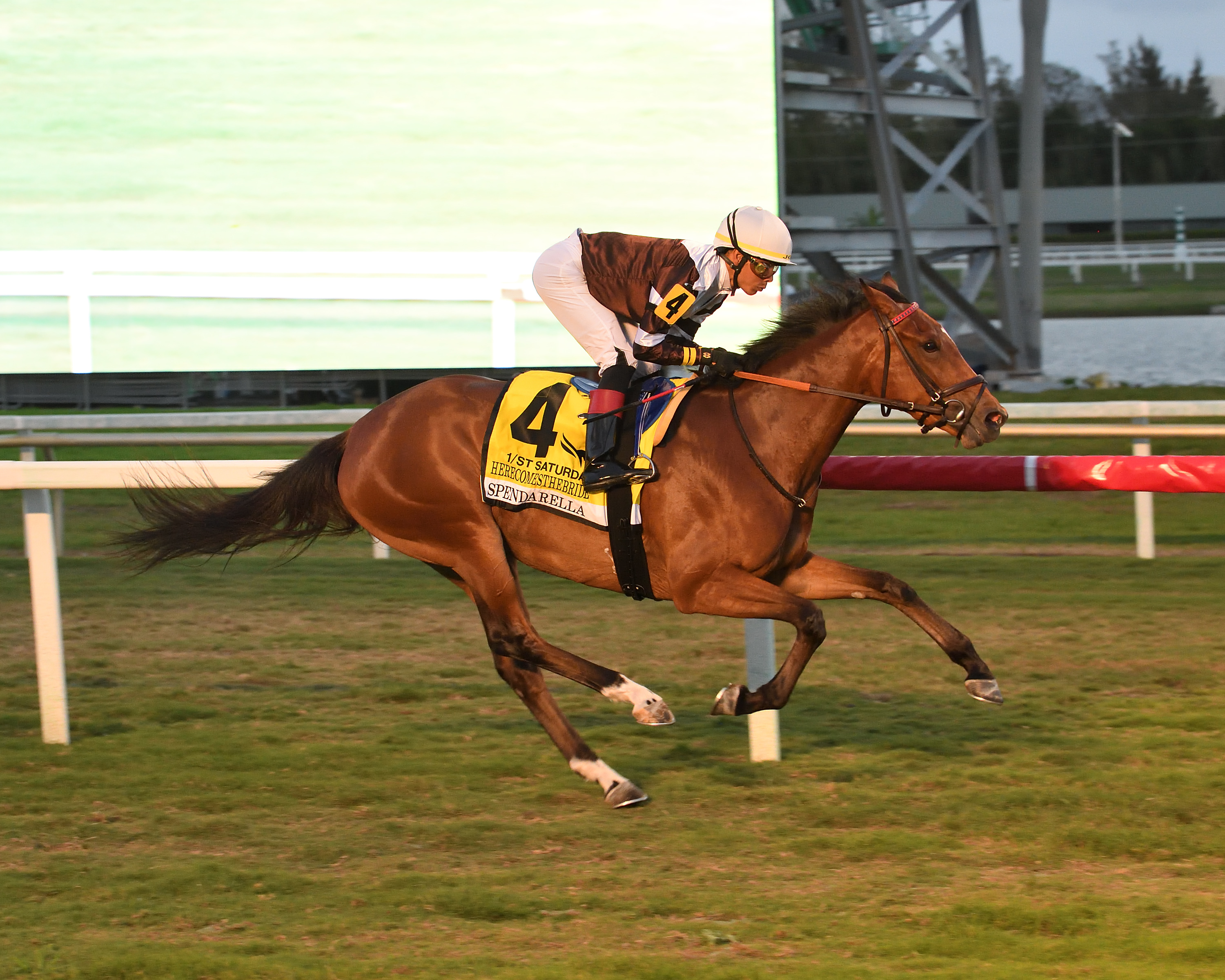 Spendarella wins Herecomesthebride 3-5-2022