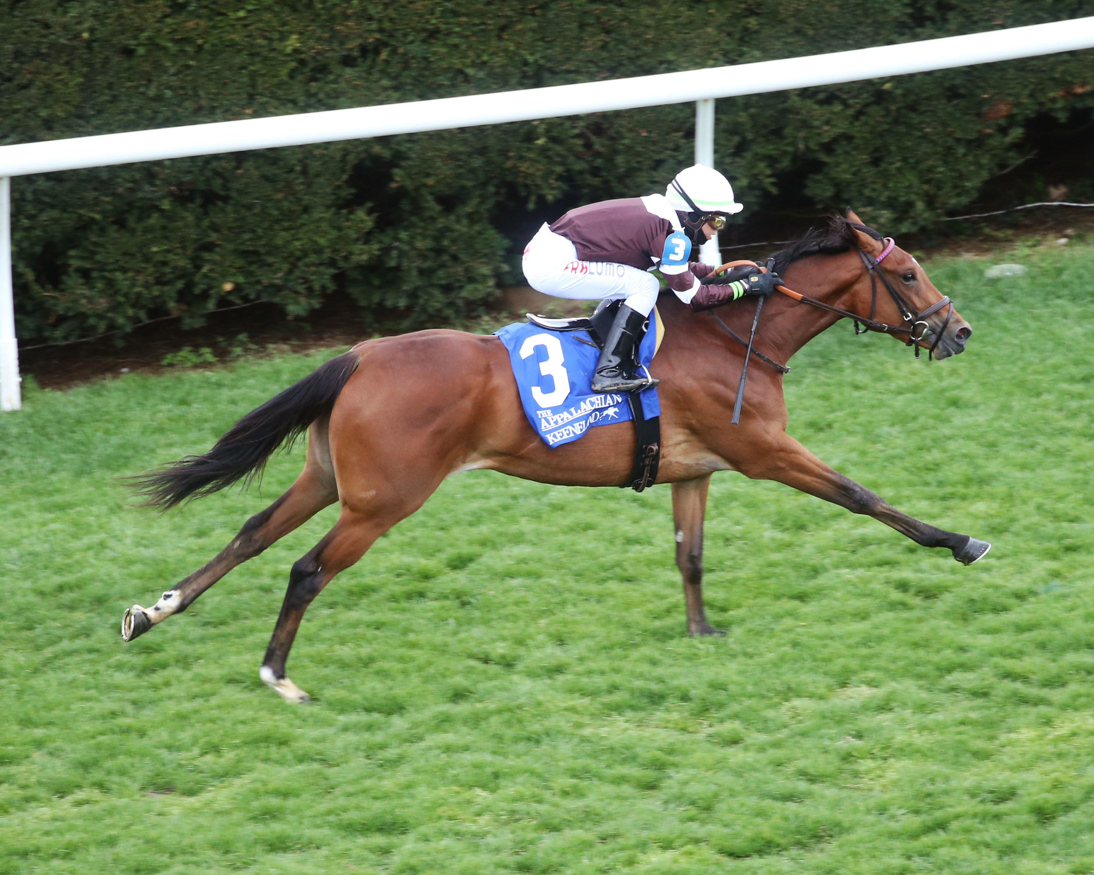 Spendarella wins the Appalachian on April 9 2022