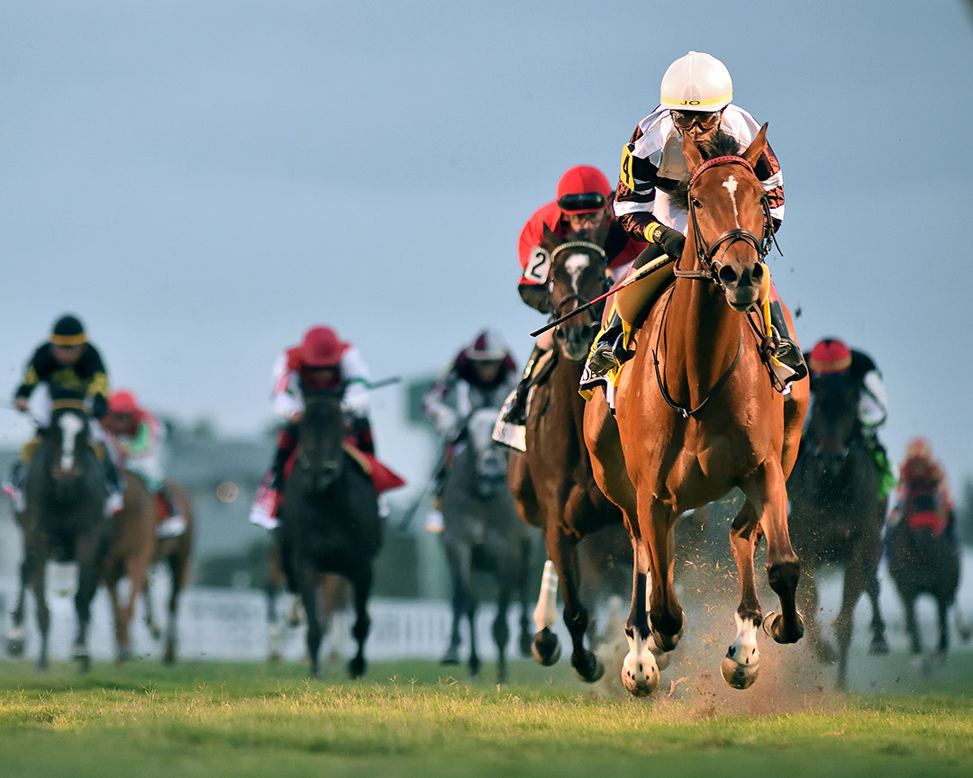 Spendarella wins the 2022 Herecomesthebride Stakes at Gulfstream Park