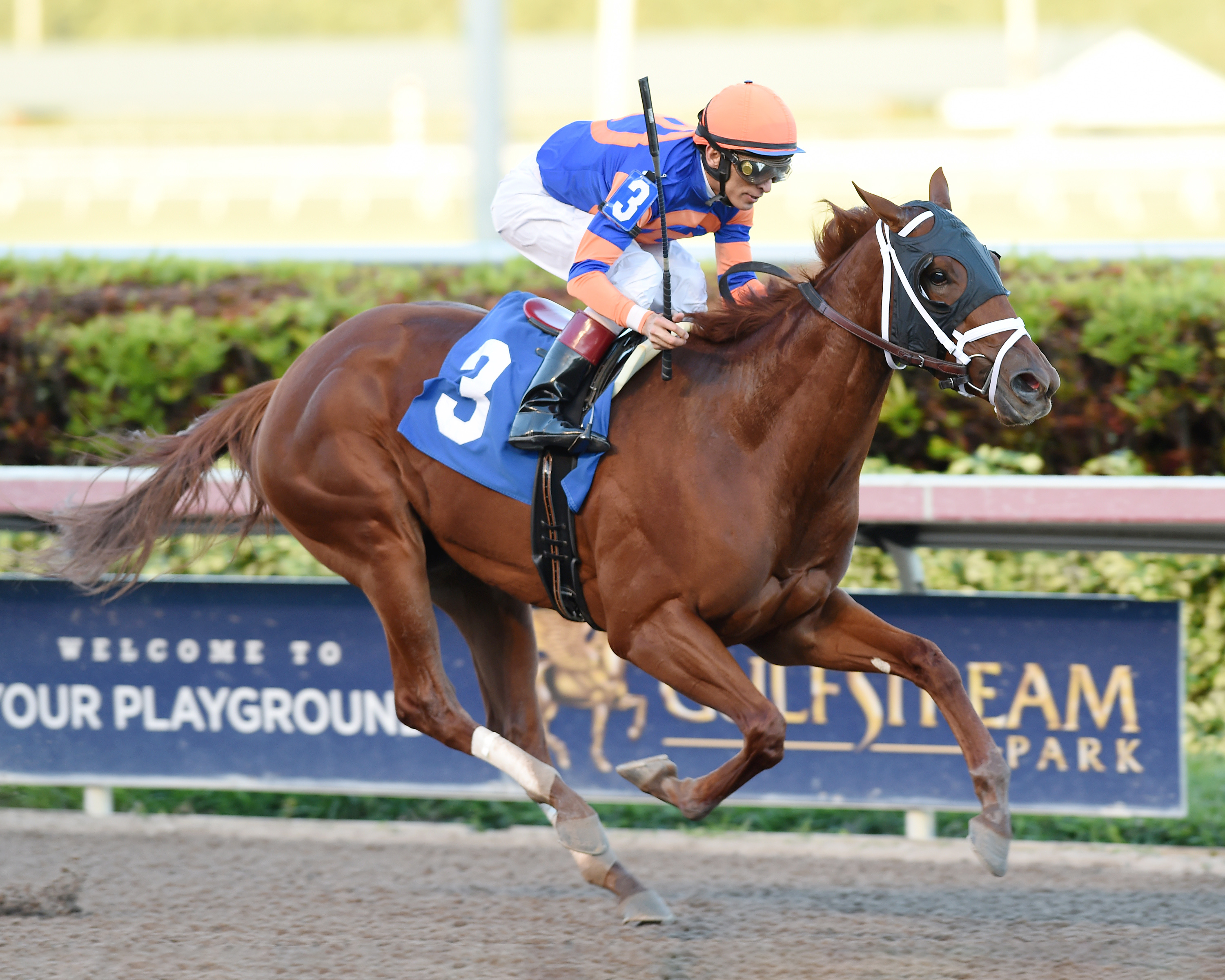 Spice Lady wins a Dec. 15 allowance