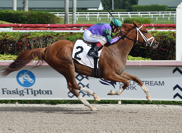 Spice is Nice wins a Jan. 12 maiden race at Gulfstream Park