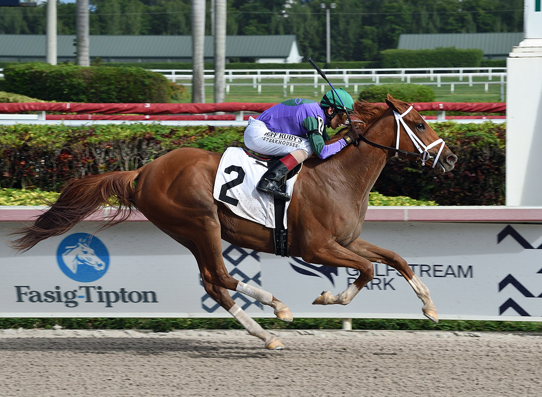Spice is Nice wins a Jan. 12 maiden race at Gulfstream Park