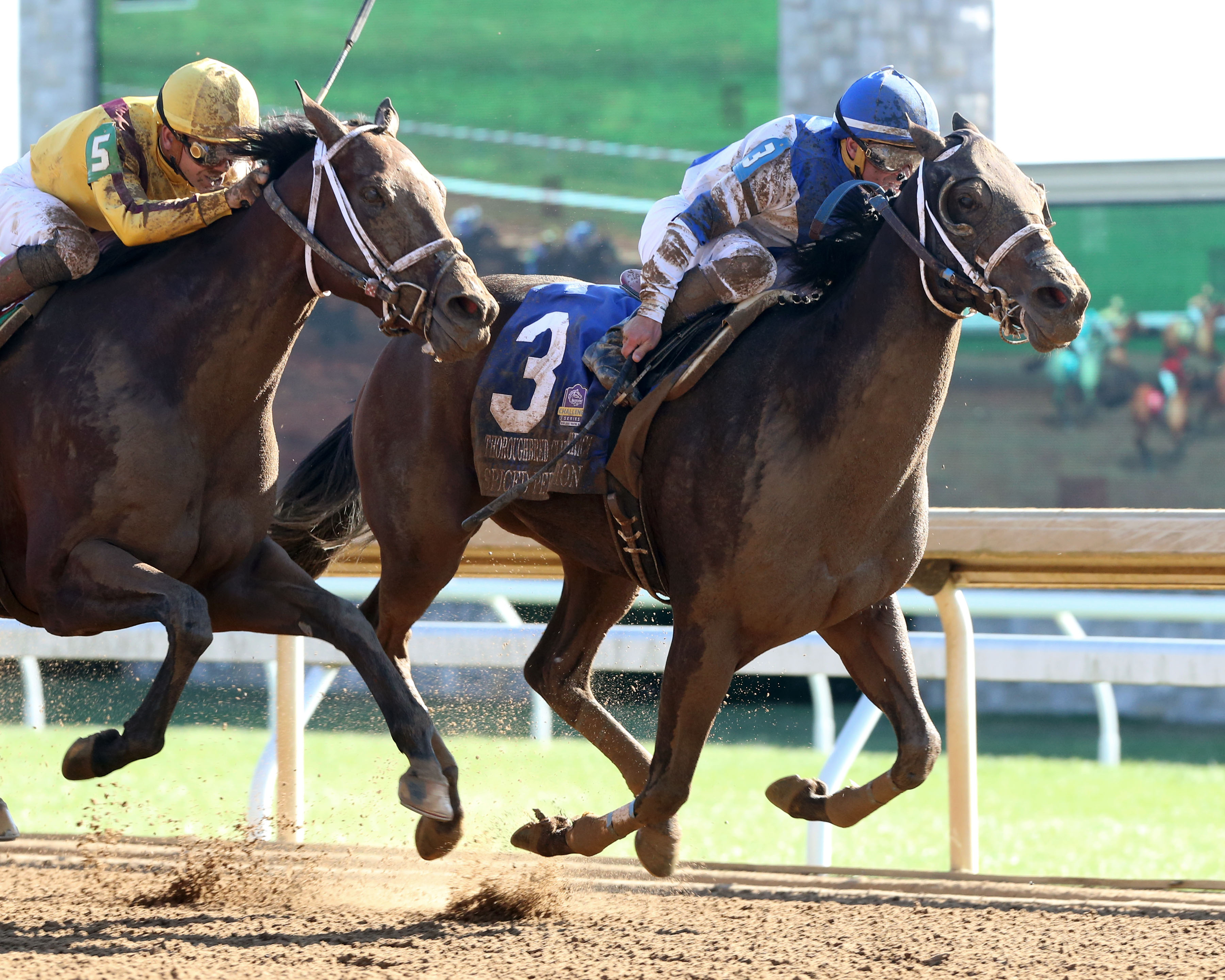 Spiced Perfection (No. 3) beats Dawn the Destroyer in the TCA Stakes