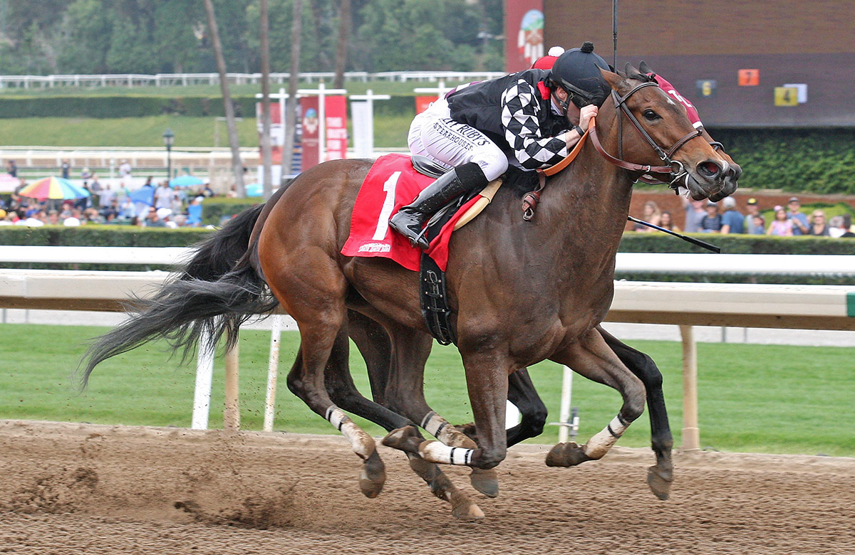 Spiced Perfection wins the 2018 Evening Jewel Stakes