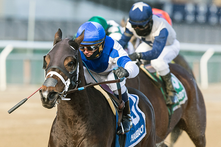 Spiced Perfection wins the 2019 Go For Wand Handicap at Aqueduct Racetrack