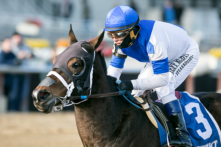 Spiced Perfection wins the 2019 Go For Wand Handicap at Aqueduct Racetrack