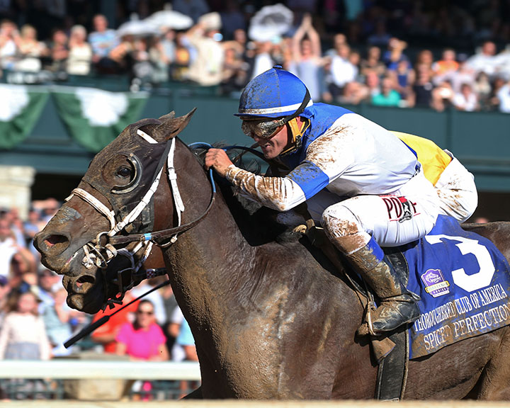 Spiced Perfection wins the 2019 Thoroughbred Club of America Stakes at Keeneland