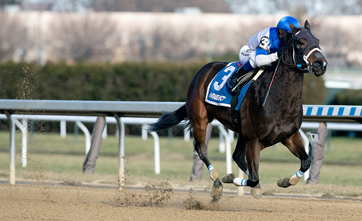 Spiced Perfection wins the 2019 Go For Wand Handicap at Aqueduct Racetrack