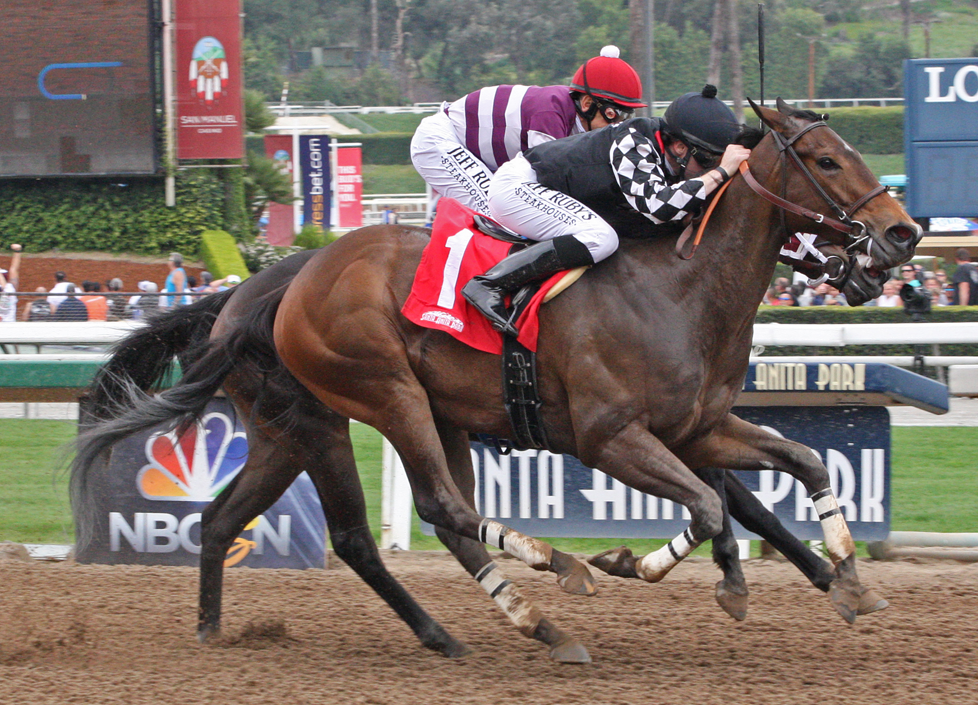 Spiced Perfection wins the 2018 Evening Jewel Stakes