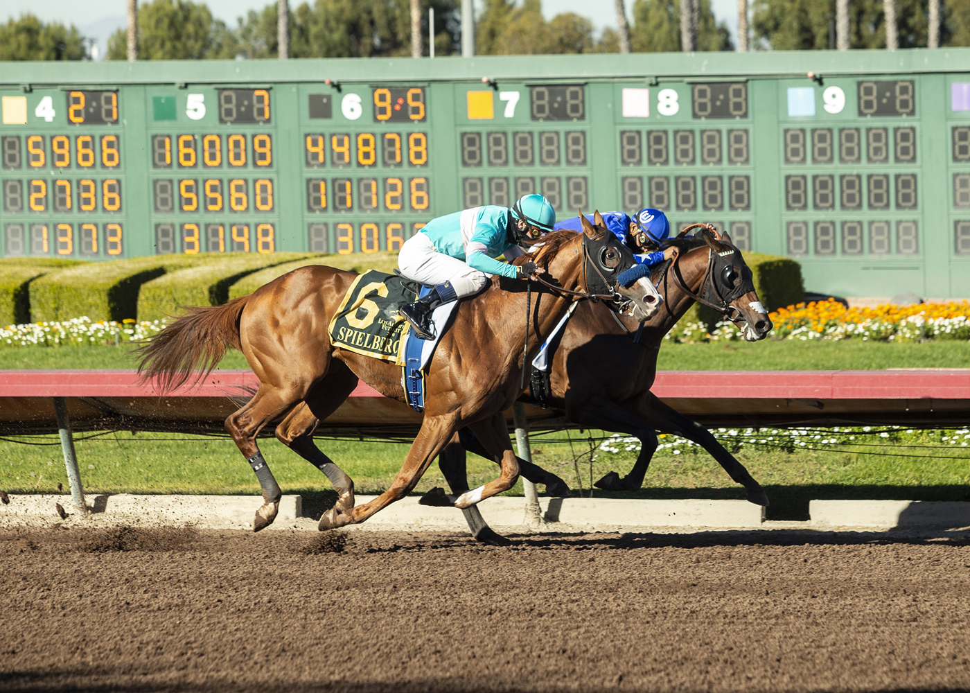 Spielberg wins Los Alamitos Futurity 12-19-2020